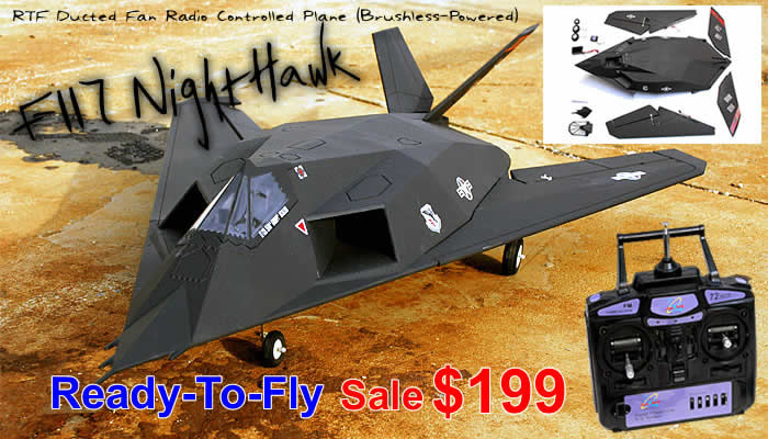 Remote Control Aircraft F-117 Ducted Fan Brushless