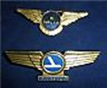 Rare Airline Memorabilia Wings - Eastern and Delta Airlines