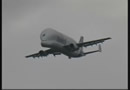 Airbus A300-600 Super Transporter Beluga