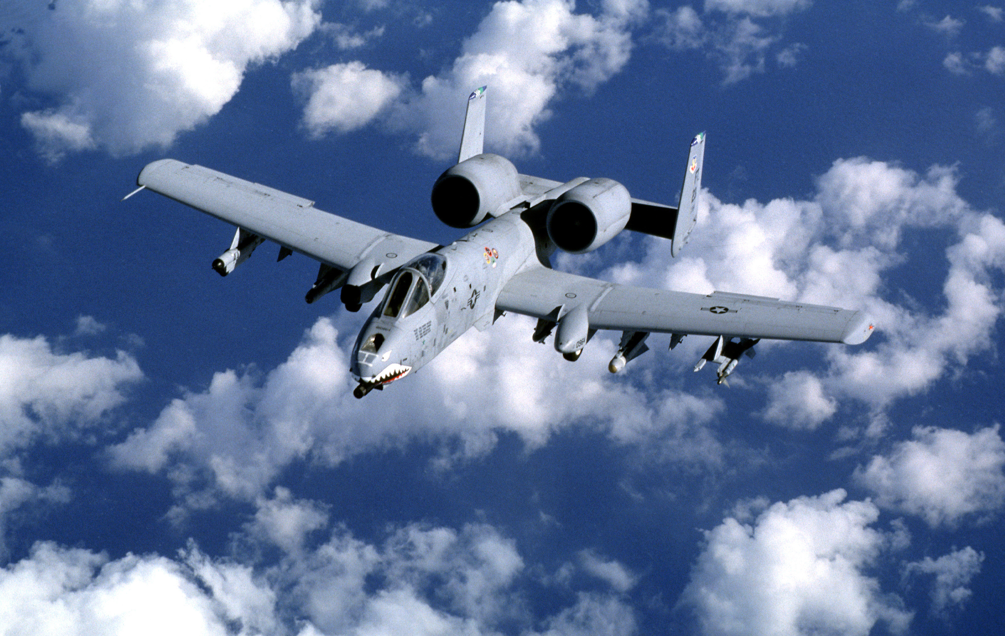 A-10 warthog. Штурмовик бородавочник а 10. Штурмовик а-10 thunderbolt. A-10 thunderbolt. A-10a "thunderbolt ii".