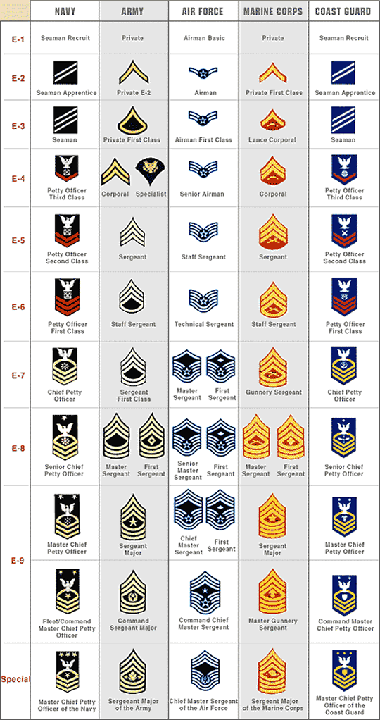 RANK STRUCTURE AND INSIGNIA OF ENLISTED MILITARY PERSONNEL - ALL BRANCHES OF US MILITARY SERVICE