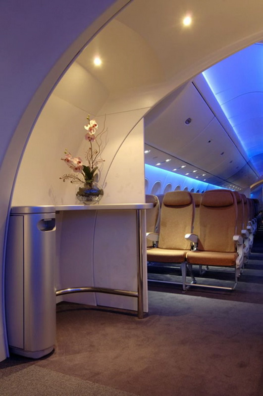 Boeing 787 Dreamliner Interior View