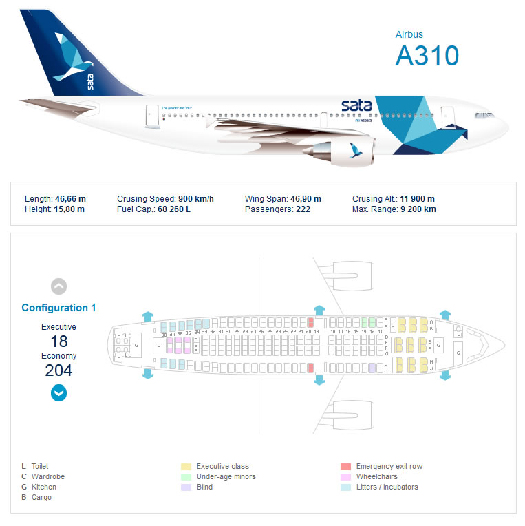 SATA AIRLINES AIRBUS A310 AIRCRAFT SEATING CHART