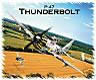 p-47 thunderbolt tshirt